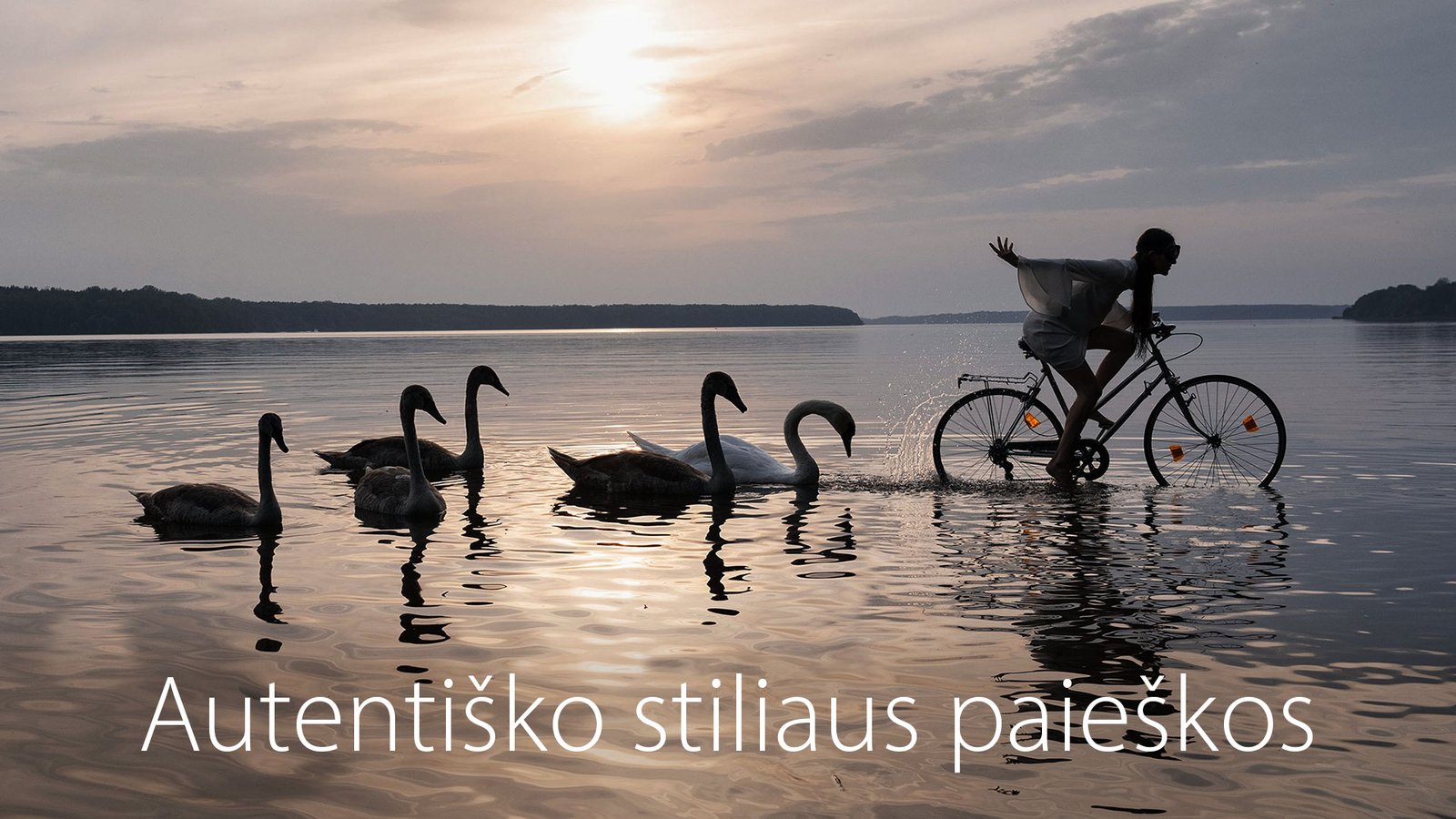 Autentiško stiliaus paieškos