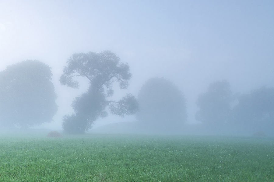 Techniniai vaizdo parametrai